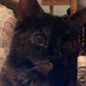 Meet your Posher, Sophie